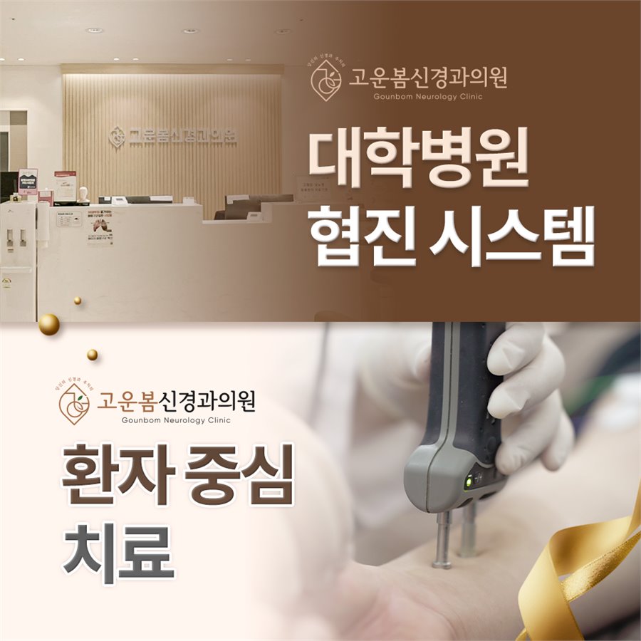 대학병원 협진 시스템 안내 이미지
